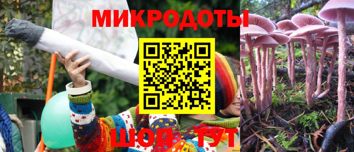 Галлюциногенные грибы Psilocybine cubensis  как найти   Корсаков  Вход с VPN 